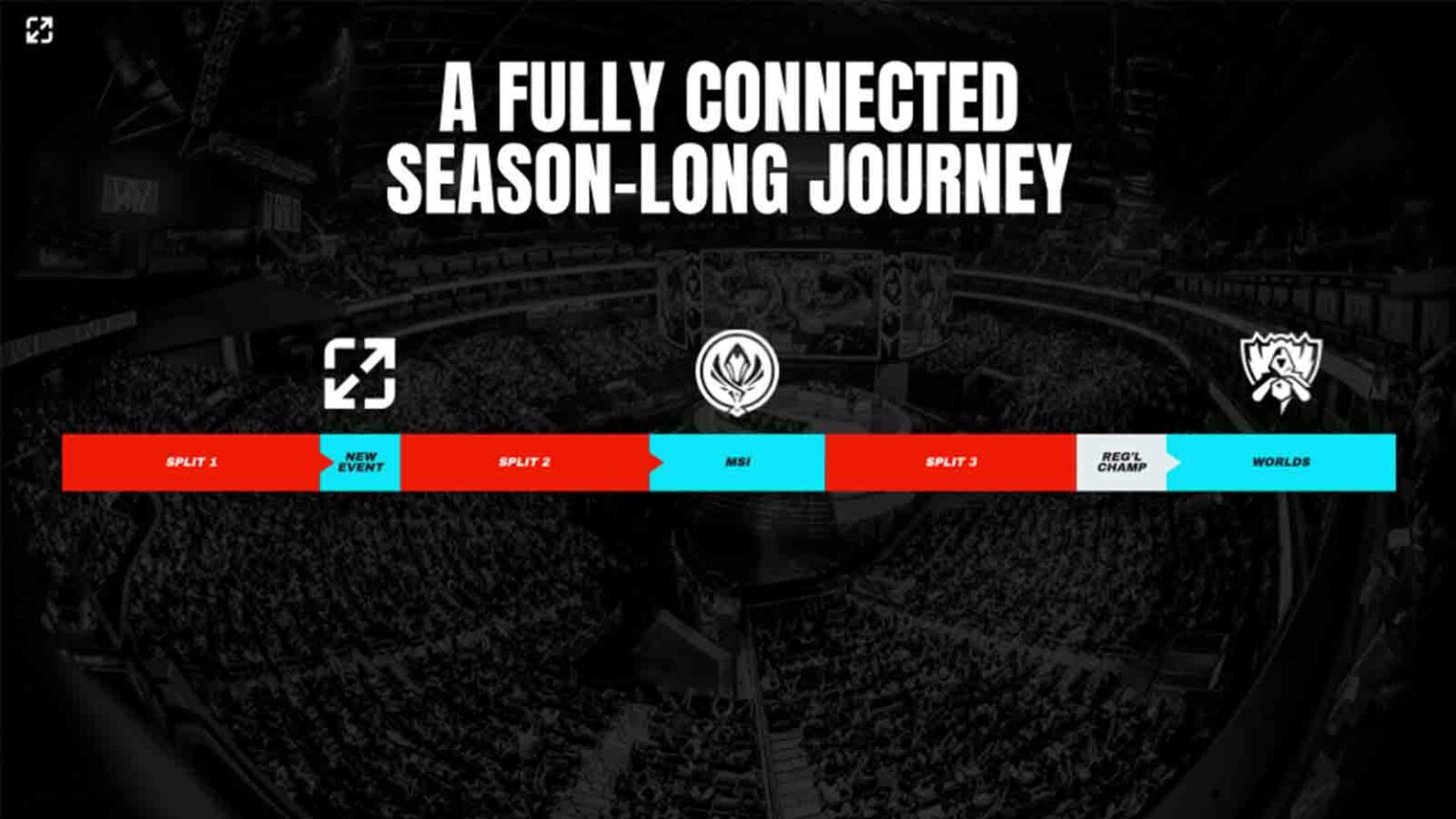 Bin：从MSI到全球总决赛冠军，LPL上单选手的荣耀征程-乐鱼电竞